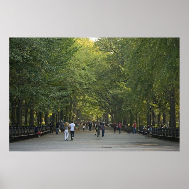 Den sena sommaren i Mall Poster (Framsidan)