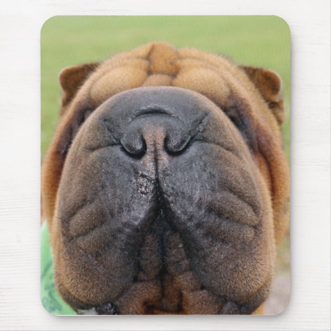 Den Shar-pei musen vadderar Musmatta (Framsidan)