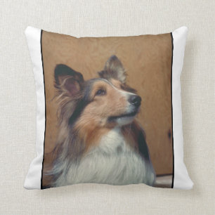 Den Shetland sheepdogen MoJo kudder Kudde