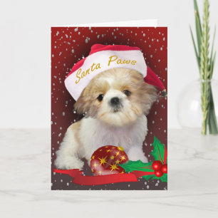 Den Shih Tzu julen Santa tafsar kortet Helgkort