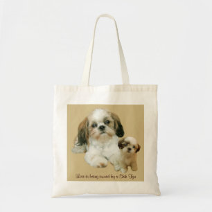 Den Shih Tzu kompistotot hänger lös Tygkasse