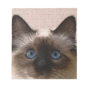 den siamese katten knastrar den gammala åldrasen anteckningsblock