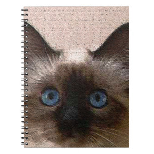 den siamese katten knastrar den gammala åldrasen anteckningsbok med spiral