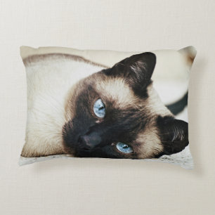 Den Siamese katten kudder Prydnadskudde