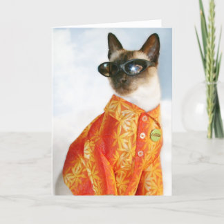 Den Siamese katten skuggar in Kort
