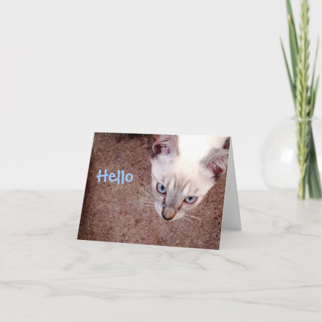 Den Siamese kattungen noterar kortet "hej ", Kort (Framsida)