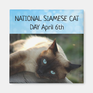 Den siamesiska kattdagen i april 6e Magnet