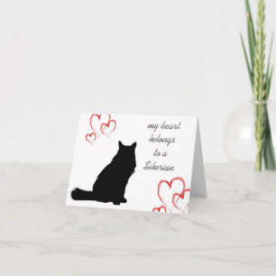 Den Siberian katten noterar kort