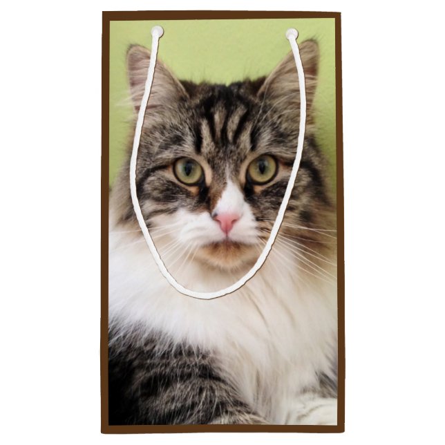 Den Siberian kattgåvan hänger lös (Baksidan)