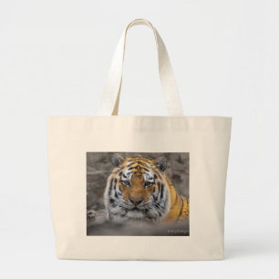 Den Siberian tigern fotograferar Jumbo Tygkasse
