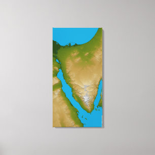 Den Sinai peninsulan Canvastryck