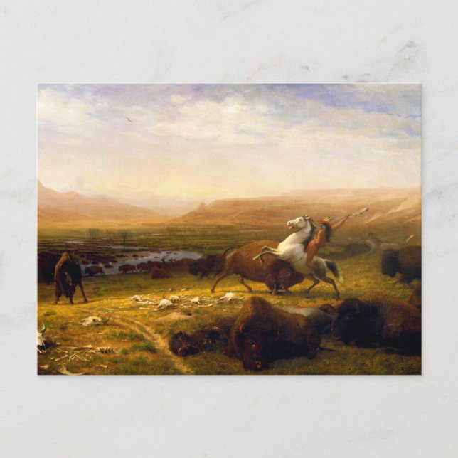 Den sista i Buffalo av Albert Bierstadt (1888) Vykort (Framsida)