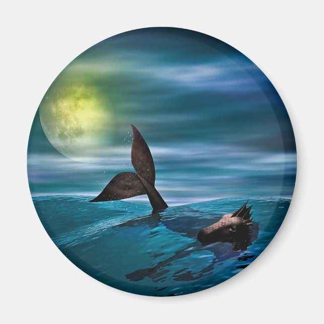 Den sista sjöhästen magnet (Framsidan)