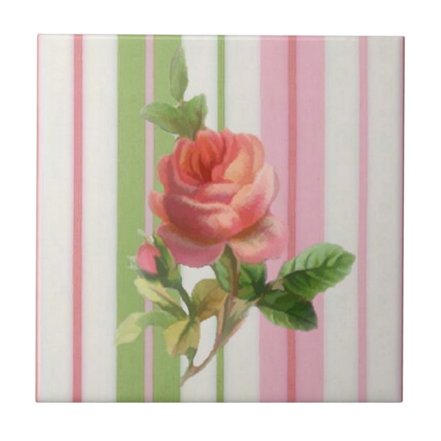 Den sjaskiga ron belägger med tegel kakelplatta (Framsidan)