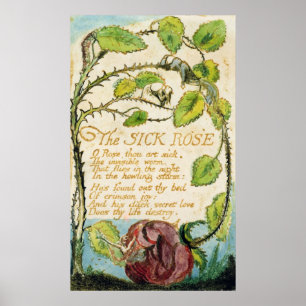 Den sjuka ron, från sånger av oskuld poster
