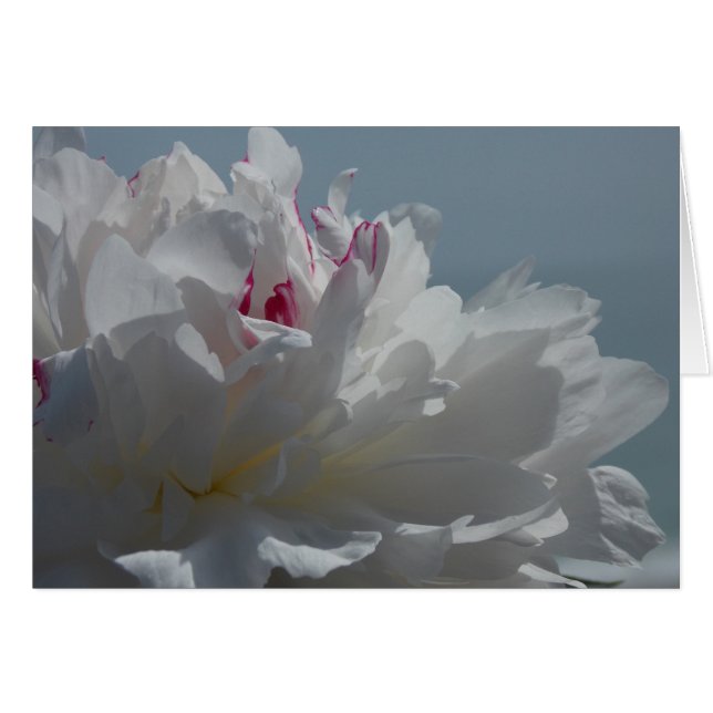 Den ska pionen reser OBS kort (Framsidan Horizontal)