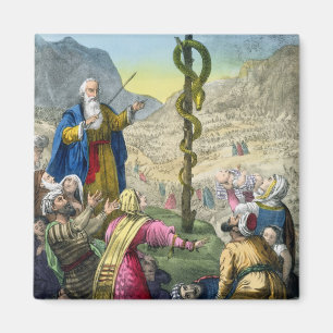 Den skamlösa ormen, från en bibel som skrivs ut  magnet