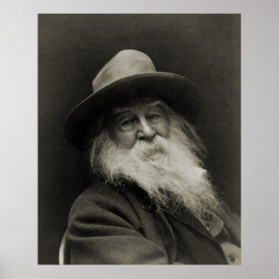 Den skratta filosofpoeten Walt Whitman Poster