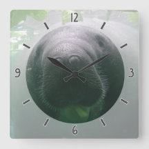 Den slarviga manateen Clock kvadrerar