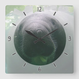 Den slarviga manateen Clock kvadrerar Fyrkantig Klocka