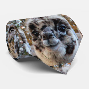 DEN SLUTGILTIGA ALPACA SLIPS