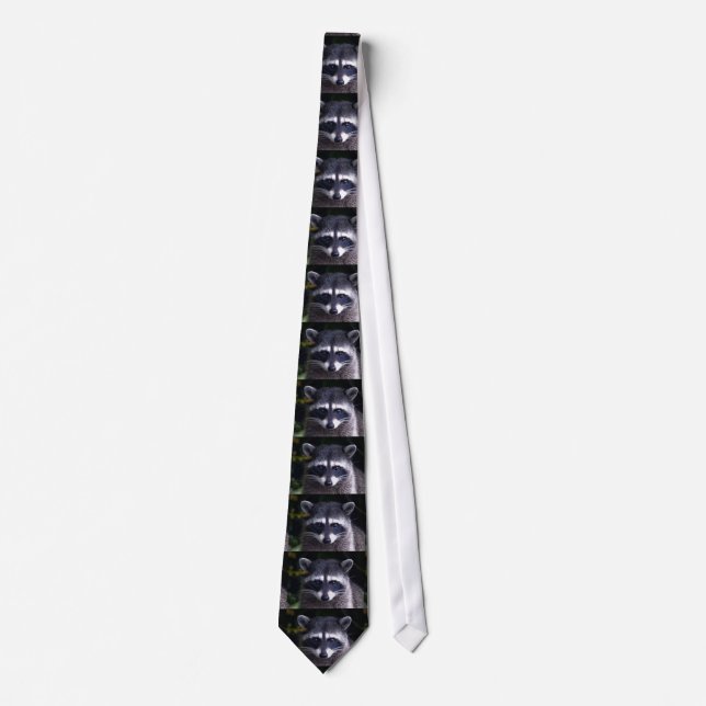 DEN SLUTGILTIGA "RACOON TIE" SLIPS (Framsida)