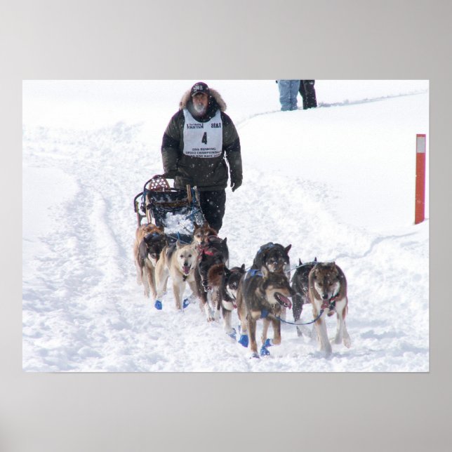 Den slutliga utdragningen Poster (Framsidan)