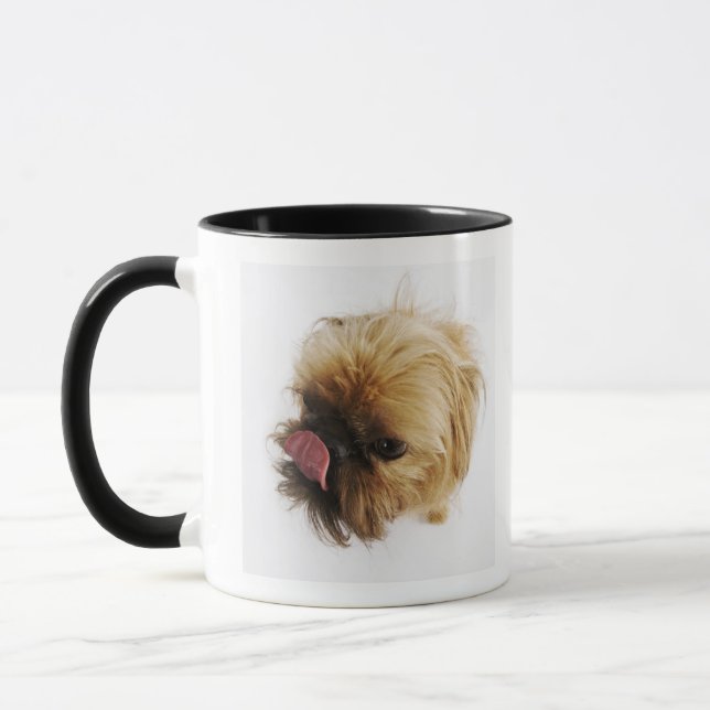 Den små hunden på vitbakgrund, kickvinkel beskådar mugg (Vänster)