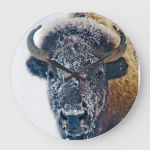 Den snöig buffelväggen tar tid på stor klocka