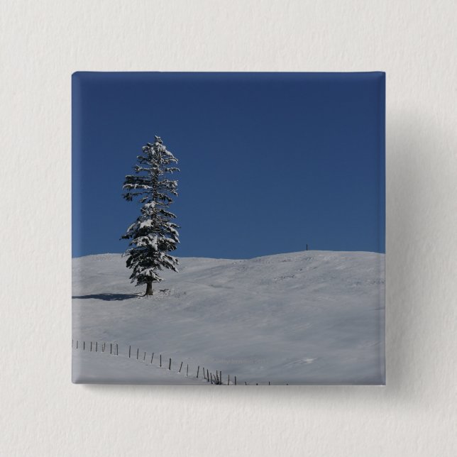 Den snöig kalla vintern landskap 4 knapp (Framsida)