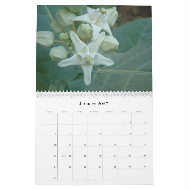 Den södra asiatet blommar kalendern kalender (Jan 2027)