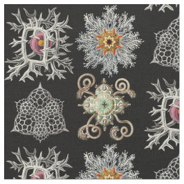 Den sofistikerade naturen bildar tyg