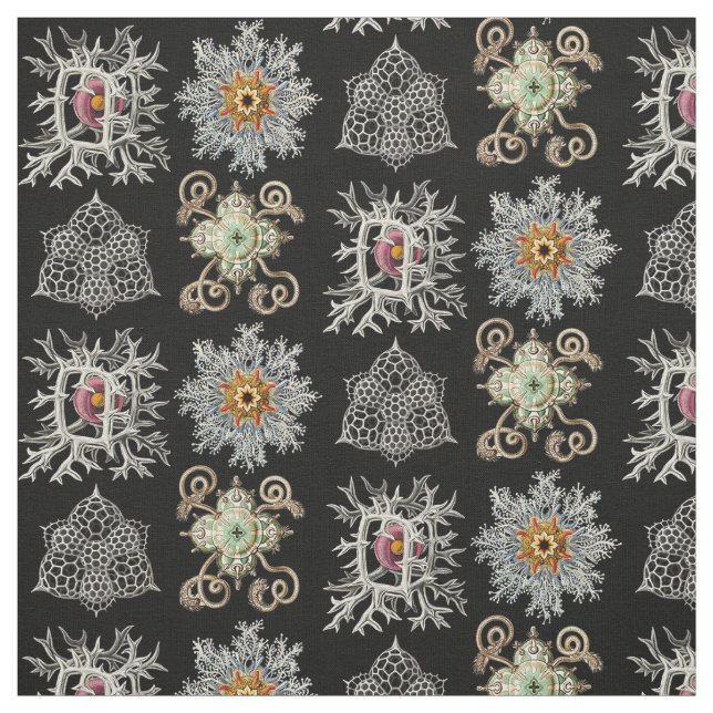 Den sofistikerade naturen bildar tyg (Provkarta)