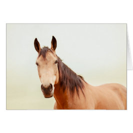 Den solbrända hästen ser dig hälsningskort