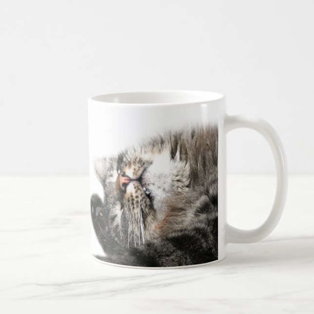 Den sömniga katten önskar kaffe kaffemugg (Höger)