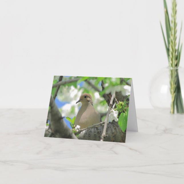 Den sörjande duvahälsningen eller noterar kortet kort (Framsida)