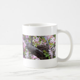 Den sörjande duvan bygga bo och att bygga bo den kaffemugg