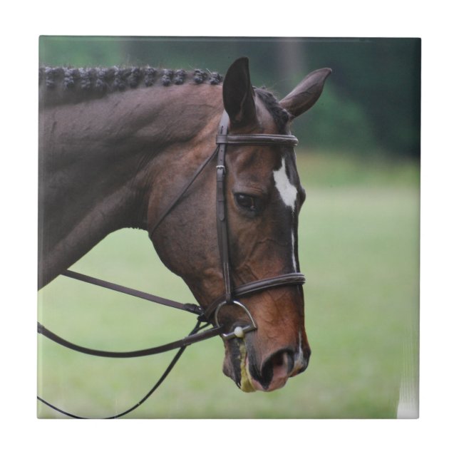 Den söta arabiska hästen belägger med tegel kakelplatta (Framsidan)
