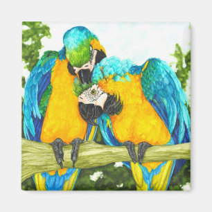 Den söta fläcken - blått- & guldMacaws Magnet