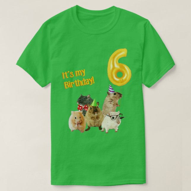 Den söta Hamster i 6e i min födelsedagsdag T Shirt (Design framsida)