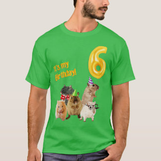 Den söta Hamster i 6e i min födelsedagsdag T Shirt
