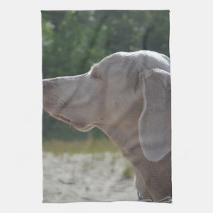 Den söta Weimaraner hunden profilerar Kökshandduk