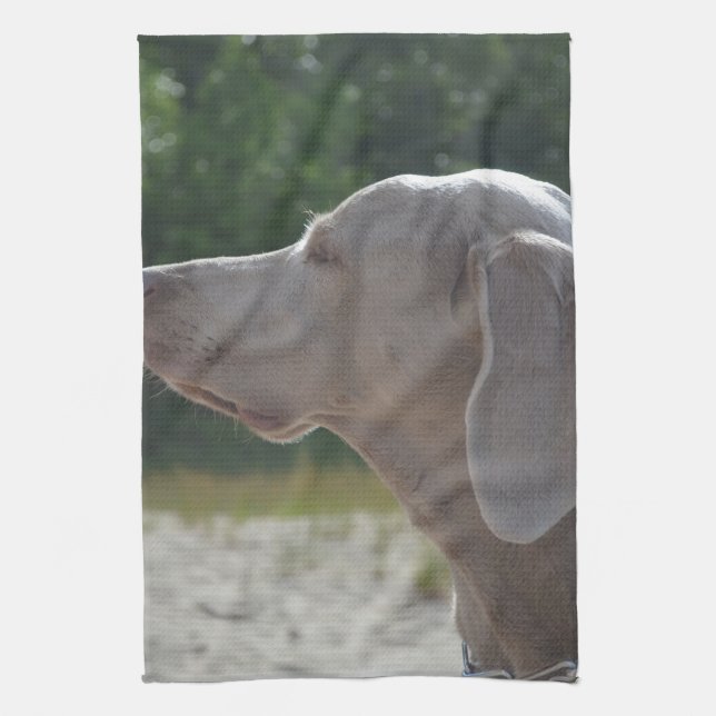 Den söta Weimaraner hunden profilerar Kökshandduk (Vertikal)