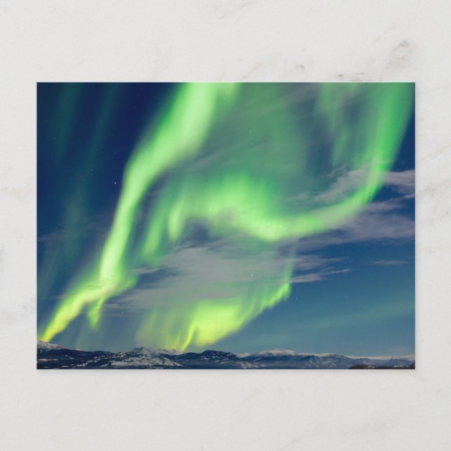 Den spektakulära Auroran borealis Northern Ljus Vykort (Framsida)
