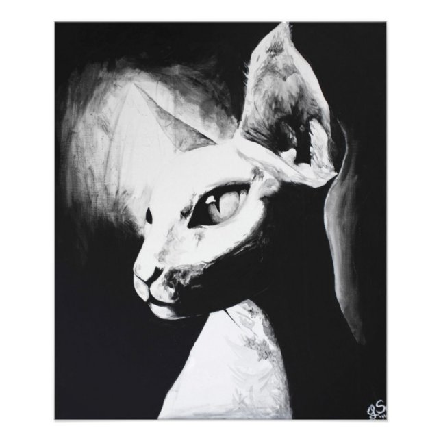Den Sphynx Katten Feline Original Konst Foto Print (Framsidan)