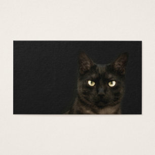 den spöklika katten profilerar kortet visitkort
