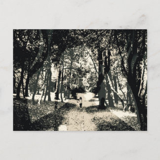 Den spöklika spöken i skogen avbildar vykortet vykort