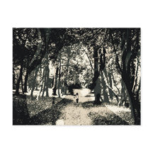 Den spöklika spöken i skogen avbildar vykortet