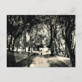 Den spöklika spöken i skogen avbildar vykortet vykort