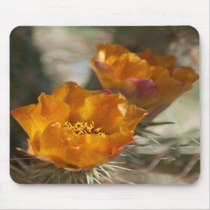Den Staghorn Cholla kaktusen blomstrar Mousepad Musmatta